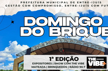 1ª Edição do Domingo do Brique