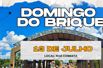 6ª Edição do Domingo do Brique 