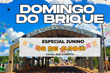 Domingo do Brique será especial Junino