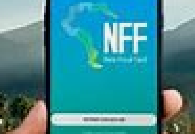 CURSO NOTA FISCAL DE PRODUTOR